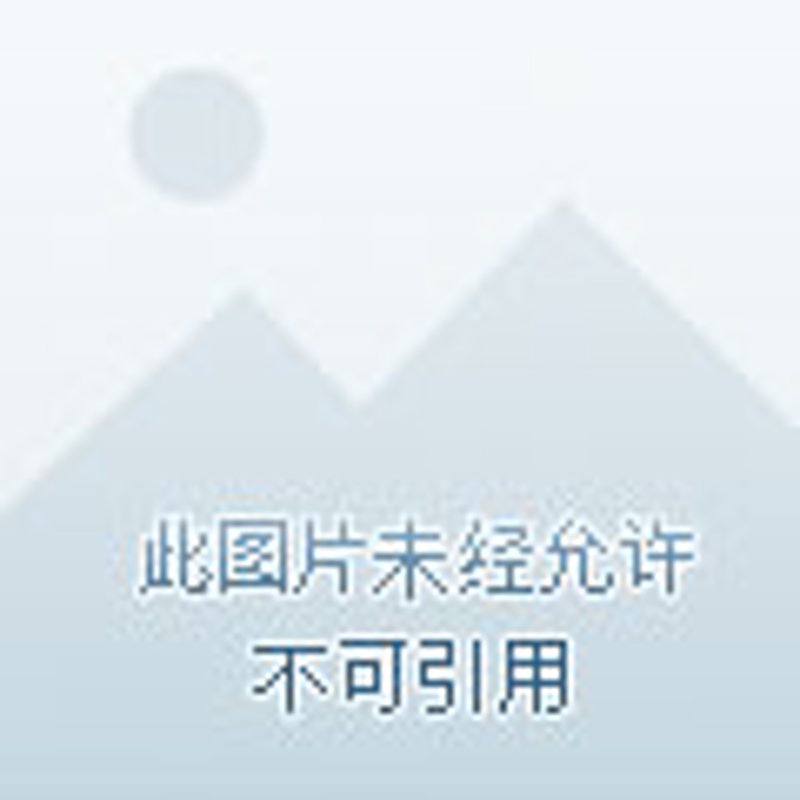艺术展览策划：一场文化的视觉盛宴